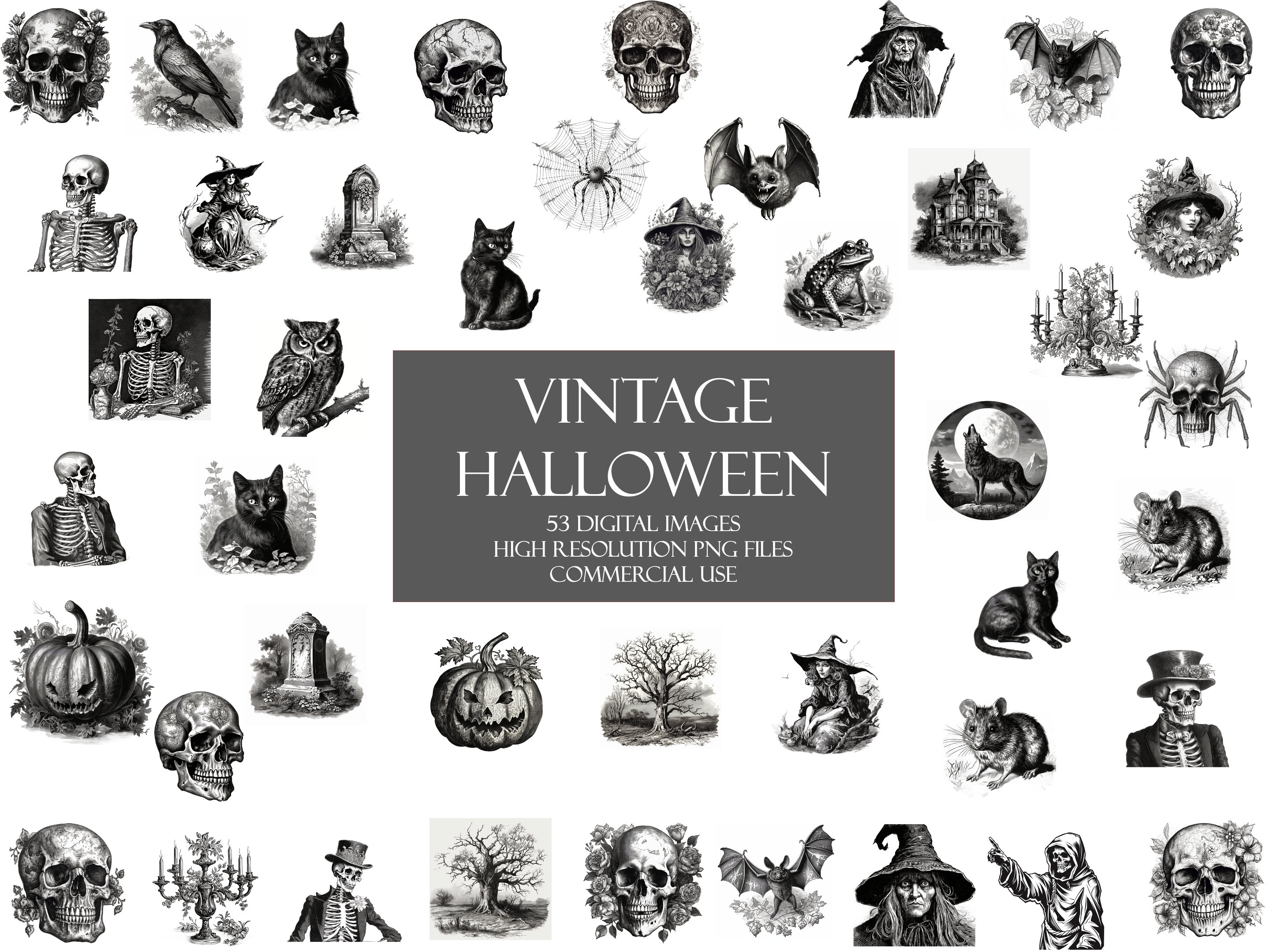 50+ Vintage Halloween Clipart, skulls, bats, owls, spiders, rats, pumpkins, gravestones,  witches, instant download commercial use