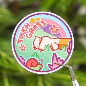 TOUCH SOME GRASS MEME  Pin for Sale by xenocene