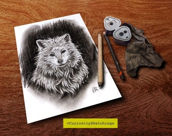 Fox Illustrative sketch, charcoal fox sketch, traditional art printable