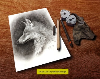 Fox in profile sketch, charcoal fox sketch, traditional art printable