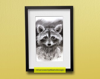 Charcoal Raccoon Sketch, Charcoal animal drawing, traditional art printable