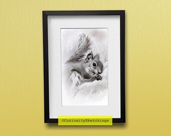 Snacking Squirrel Sketch, charcoal drawing of squirrel snacking, traditional art printable