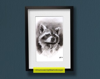 Charcoal Raccoon Sketch, Charcoal animal drawing, traditional art printable