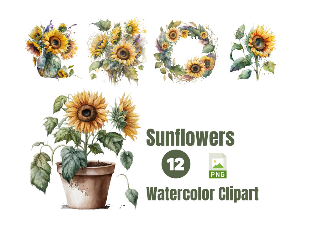 Watercolor Sunflowers Clipart - Fall Sunflower Floral Bouquets in PNG ...