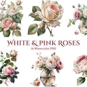 Pink and White Roses Clipart | Floral PNG | Watercolor Roses PNG | Flowers Clipart | Floral Clipart | Transparent Background PNG