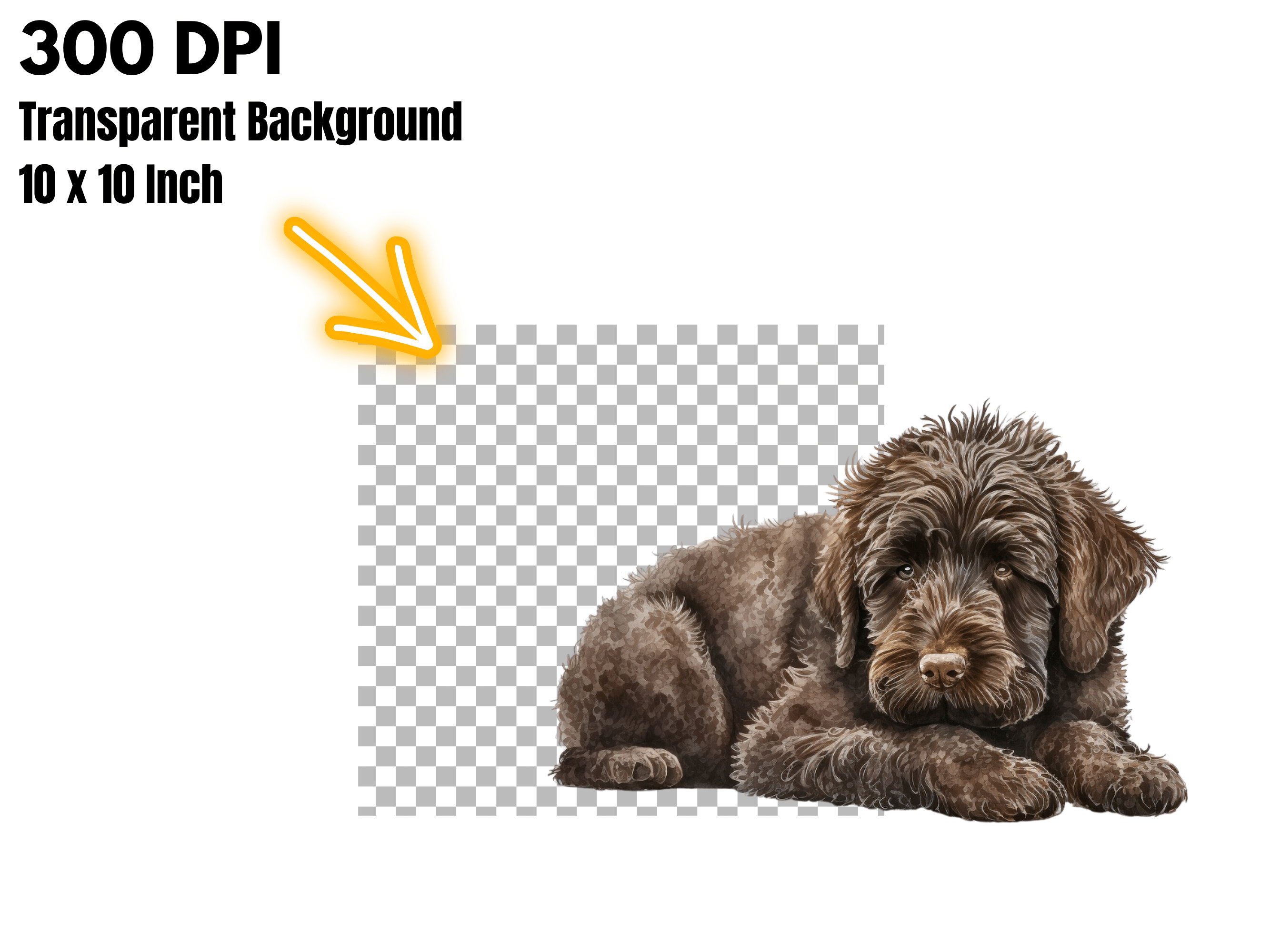 Chocolate Labradoodle Clipart Dog PNG Chocolate Etsy