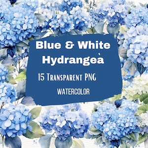 Blue and White Watercolor Floral Hydrangea Clipart Pack, Clip art for commercial use, Transparent PNGs, Dusty Blue Wedding Botanical Florals