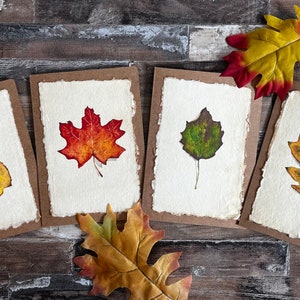 Juego de tarjetas con hojas de otoño vintage • tarjetas de otoño • tarjetas de notas de otoño • tarjetas de notas en blanco • juego de 4 tarjetas