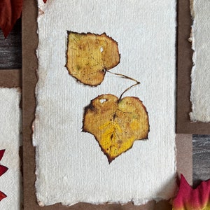 Vintage Fall Leaves Card Set • Autumn Cards • Fall Note Cards • Blank ...