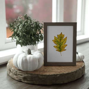 OAK LEAF Watercolor Print