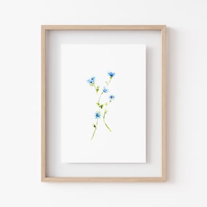 Puede incluir: Una pintura de acuarela enmarcada de una delicada rama de flores azules con tallos y hojas verdes sobre un fondo blanco.