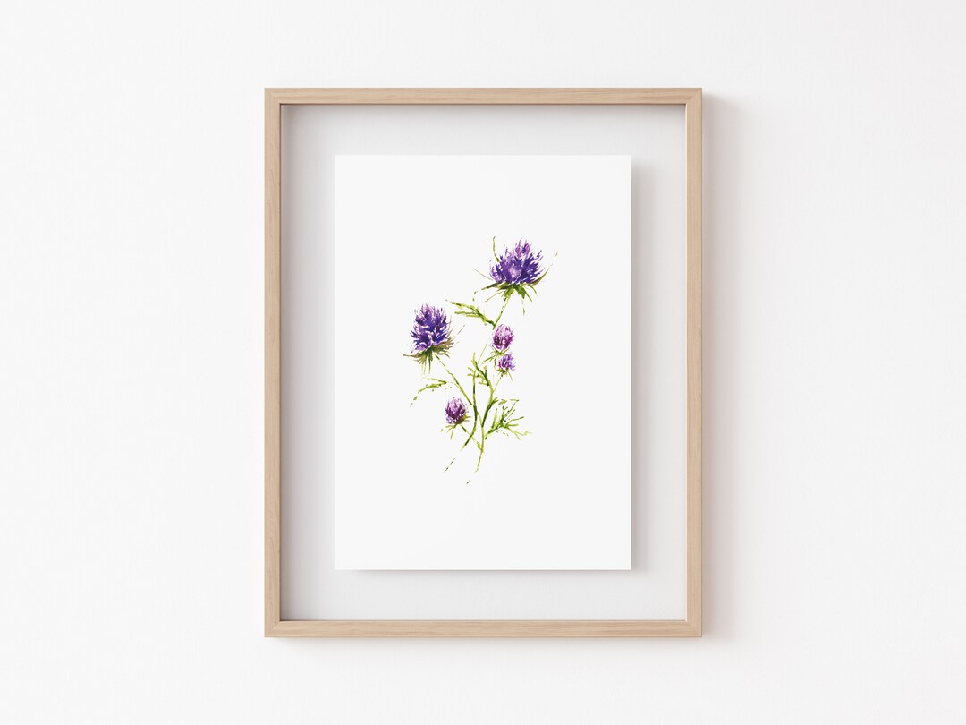 THISTLE WILDFLOWER Watercolor Print - Etsy