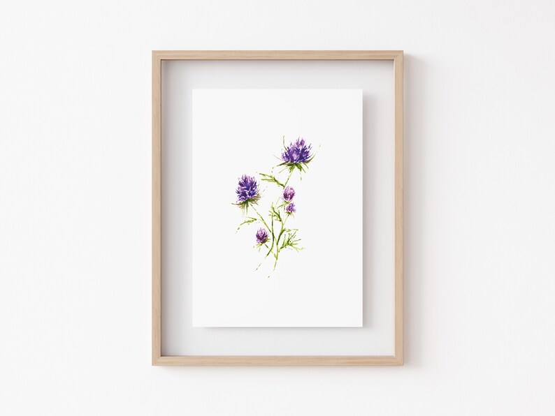 THISTLE WILDFLOWER Watercolor Print Minimalist Floral Wall Decor Fine Art Home Decor Watercolor Flowers image 1