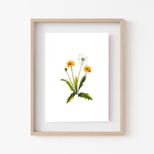 DANDELION FLOWER Watercolor Print • Minimalist Floral Wall Decor • Fine Art Home Decor • Watercolor Flowers