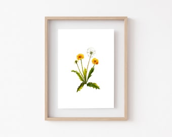 DANDELION FLOWER Watercolor Print • Minimalist Floral Wall Decor • Fine Art Home Decor • Watercolor Flowers