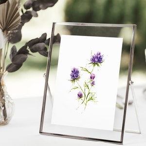 THISTLE WILDFLOWER Watercolor Print Minimalist Floral Wall Decor Fine Art Home Decor Watercolor Flowers image 2