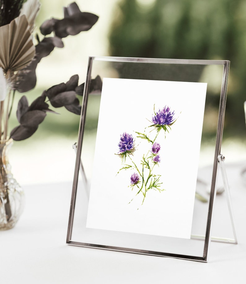 THISTLE WILDFLOWER Watercolor Print Minimalist Floral Wall Decor Fine Art Home Decor Watercolor Flowers image 2