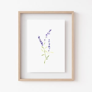 LAVENDER WILDFLOWER Watercolor Print• Minimalist Floral Wall Decor • Fine Art Home Decor • Watercolor Flowers