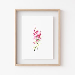FIREWEED WILDFLOWER Watercolor Print • Minimalist Floral Wall Decor • Fine Art Home Decor • Watercolor Flowers