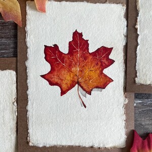 Vintage Fall Leaves Card Set • Autumn Cards • Fall Note Cards • Blank ...