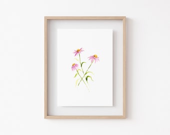 CONEFLOWER WILDFLOWER Watercolor Print • Minimalist Floral Wall Decor • Fine Art Home Decor • Watercolor Flowers