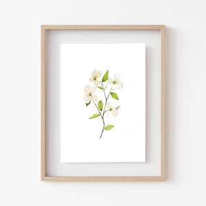 DOGWOOD FLOWER Watercolor Print • Minimalist Floral Wall Decor • Fine Art Home Decor • Watercolor Flowers