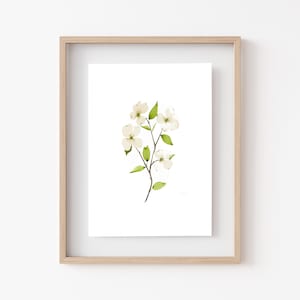 DOGWOOD FLOWER Watercolor Print • Minimalist Floral Wall Decor • Fine Art Home Decor • Watercolor Flowers