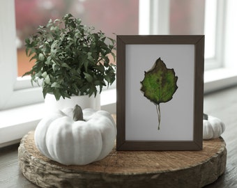 BIRCH LEAF Watercolor Print