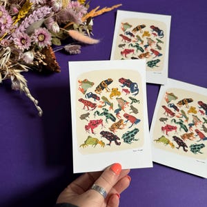 Carte postale à imprimé grenouille, collage d'animaux illustrés au format A6 – plastifié en velours