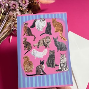 Carte de voeux chat / chaton à rayures colorées, carte d'anniversaire pour animal de compagnie, art animalier A6, cadeau bleu et rose, anniversaire, nouvelle maison, carte de célébration