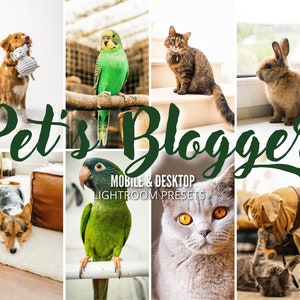 16 Pets Lightroom Presets, Cat Dog Preset, Animal Preset Natural, Blogger Preset, Influencer Preset, Lightroom Mobile, Bright Preset, VSCO