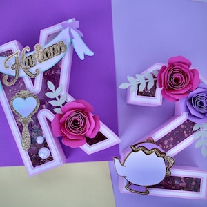 Princess 3D Letter/ Custom 3D Letters/ Princess Birthday Party Decorations/ Personalized 3D Letters/ Princess Party Decorations/ 3D Numbers