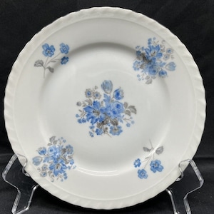 Vintage Fine Bohemian China Blue Floral Porcelain Silver Rim 6.75 Bread Plate