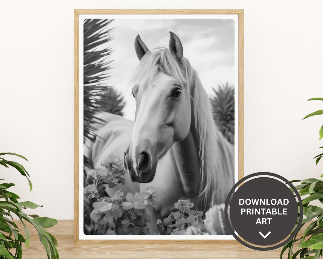 Horse Printable Art Black and White Horses Photography Wild - Etsy
