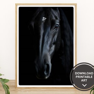 Horse Printable Art, Instant Download, Black Horse Portrait, Silhouette, Horses Photography, Equestrian Wall Art Print, Horse Lovers Gift,