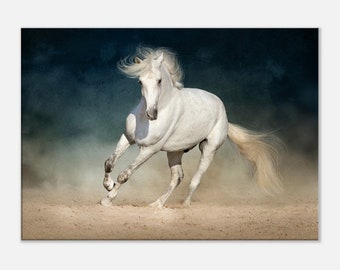 White Horse Runs Forward in Dust on Dark Background, Canvas Wall Art, Home Decor, Horse Lover Gift