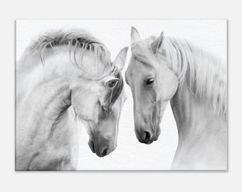 Couple of Beautiful White Horses Isolated on White Background, High Key Technique,  Canvas Wall Art, Home Decor, Horse Lover Gift
