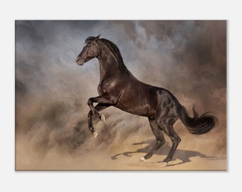 Black Stallion Rearing Up in Desert Dust, Canvas Wall Art,  Home Decor, Horse Lover Gift