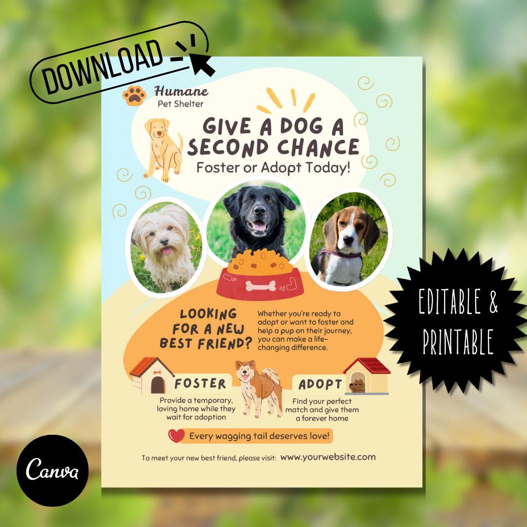 Editable Pet Adoption Flyer Template: Canva Animal Shelter Poster