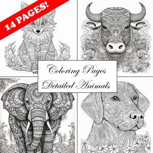 Intricate Adult Coloring Pages - Relax and Unwind with Detailed Designs