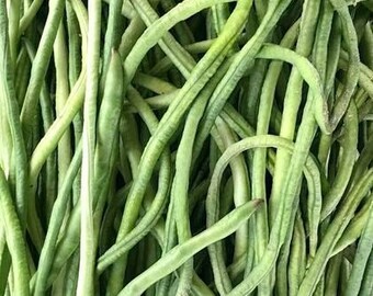 Seeds for planting | Long Yard/String Beans | Organic | FREE shipping option