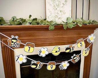 First bee day decorations. Milestone photo banner. Bee First Birthday. Bee 1st birthday. Sweet to bee One. Bee themed birthday decorations.