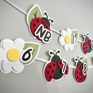 May include: A ladybug-themed banner with white daisies and green leaves. The banner features the numbers 1 through 9, with the letters "NB" in place of the number 8.