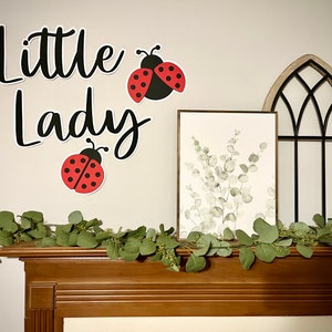 May include: A decorative arrangement featuring a wooden mantel adorned with a green garland. The wall displays a framed botanical print, a decorative arched window, and the words "Little Lady" with ladybug accents.