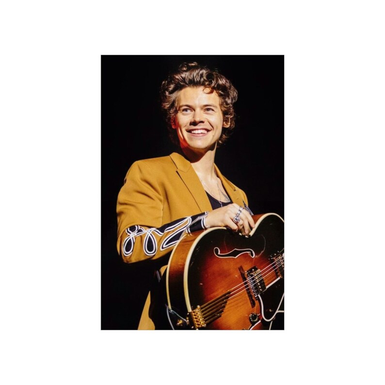 Harry Styles Concert Poster Etsy