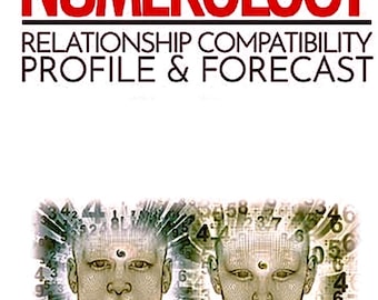 Numerology Reading (Relationship Compatibility Profile & Forecast)