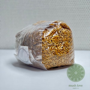 Sterilized Mushroom Grow Bag- 2lb