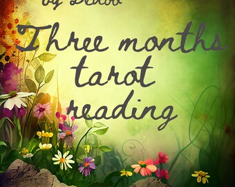 Three Months Reading, Reading 6 cards for the next 3 months, divination, speed reading