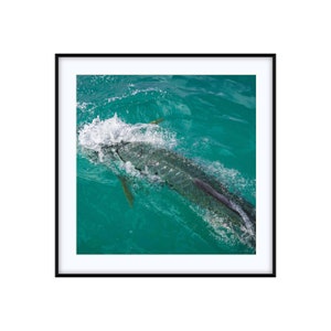 Coastal Decor | Nautical Print Wall Art Photo | Tarpon Roll | Custom Size