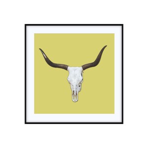 Texas Longhorn Skull | Western Photo Art Print | Custom Size